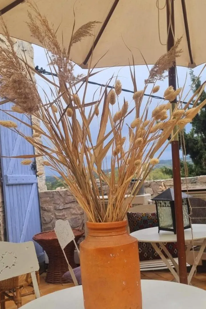 Appartement Maison Curieuse à Vaison-la-Romaine